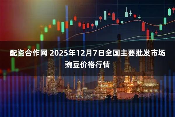 配资合作网 2025年12月7日全国主要批发市场豌豆价格行情