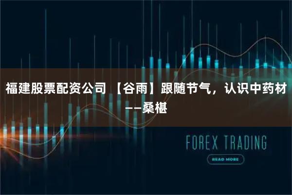 福建股票配资公司 【谷雨】跟随节气，认识中药材——桑椹